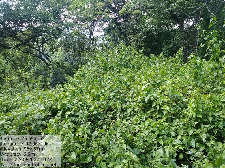 D:\VILLAGE REPORT PICTURES\BHOIRYMBONG BLOCK\Mawpun\WhatsApp Image 2023-02-08 at 13.59.24.jpeg